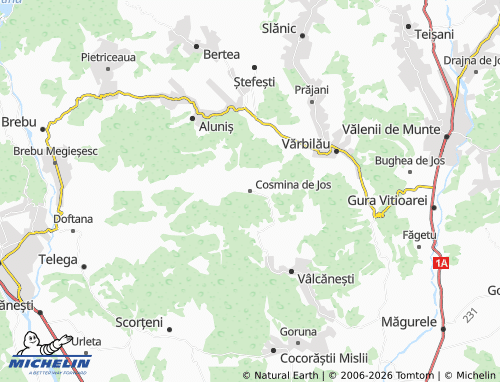 Mapa MICHELIN Cosmina de Jos - ViaMichelin