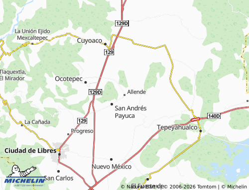 Mappa MICHELIN Allende - ViaMichelin