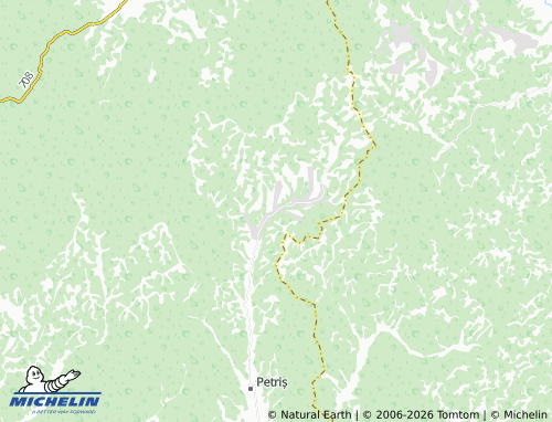 MICHELIN Roșia Nouă map - ViaMichelin