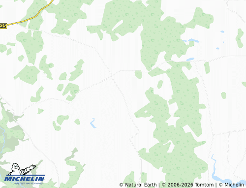 Mapa MICHELIN Žibuliai - ViaMichelin