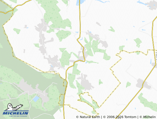 MICHELIN Velyka Levada map - ViaMichelin