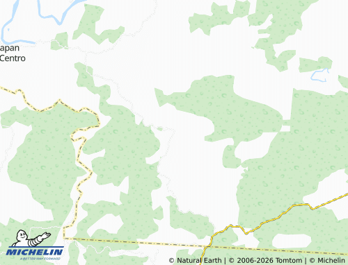 Mapa MICHELIN Ricardo Flores Magón - ViaMichelin