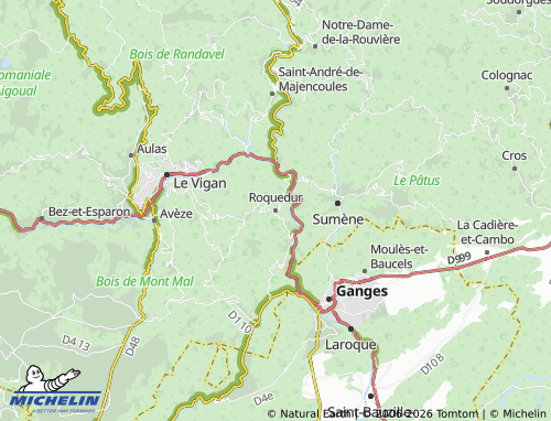 Kaart MICHELIN Roquedur - ViaMichelin