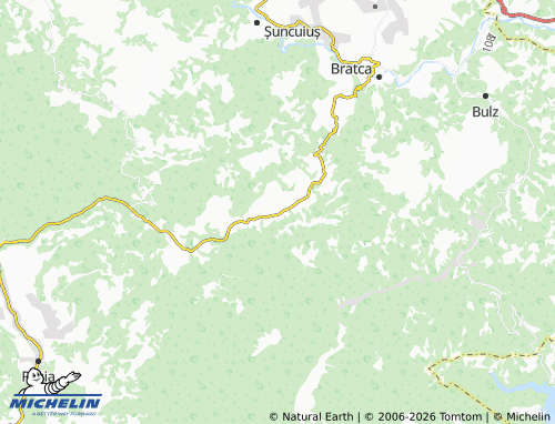 Mappa MICHELIN Damiș - ViaMichelin