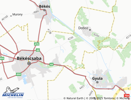 MICHELIN Gerla map - ViaMichelin