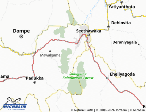 Mappa MICHELIN Digana - ViaMichelin