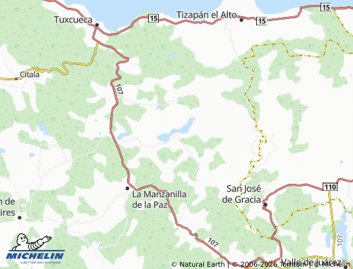 MICHELIN El Volantín map - ViaMichelin