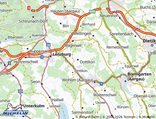 MICHELIN Dottikon map - ViaMichelin