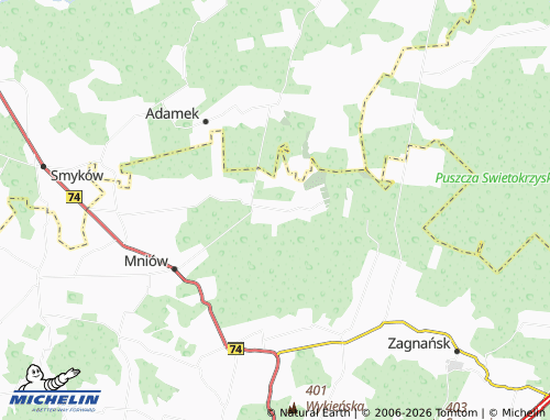 Carte MICHELIN Serbinów - ViaMichelin