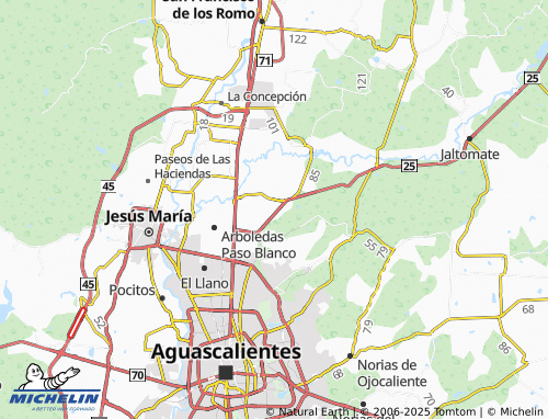 Mappa MICHELIN Valle de Aguascalientes - ViaMichelin