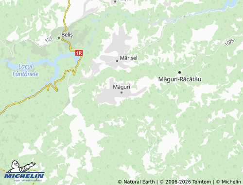 Mappa MICHELIN Măguri - ViaMichelin