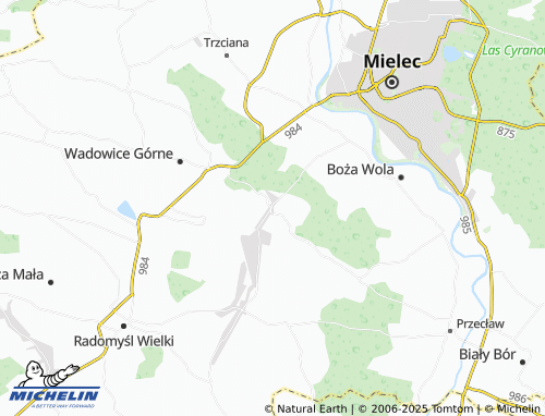 Carte MICHELIN Rydzów - ViaMichelin