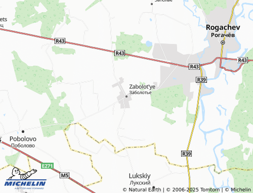 MICHELIN Zabolot'ye map - ViaMichelin