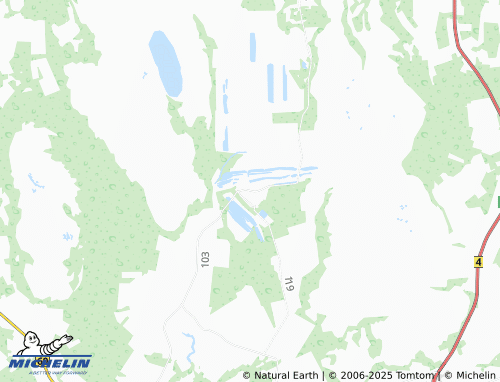 MICHELIN Lavassaare map - ViaMichelin