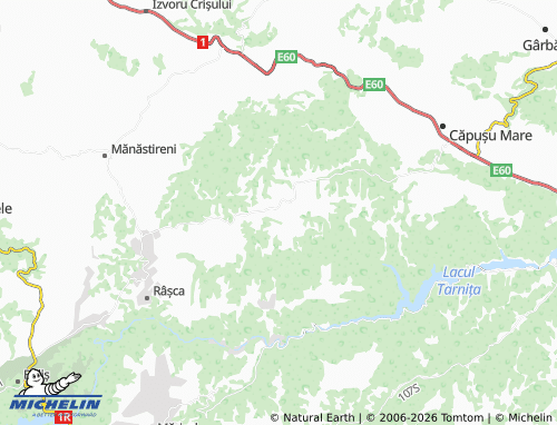 MICHELIN Dângău Mic map - ViaMichelin