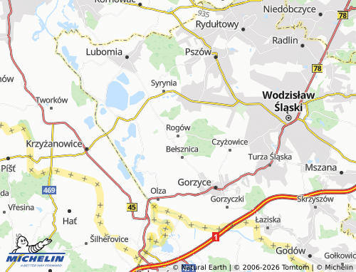 MICHELIN-Landkarte Rogów - ViaMichelin