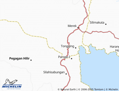MICHELIN Nagalingga map - ViaMichelin