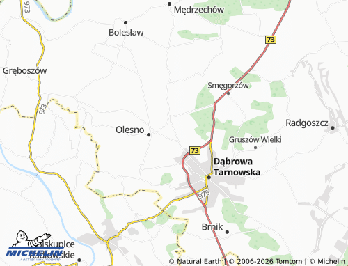 MICHELIN Swarzów map - ViaMichelin
