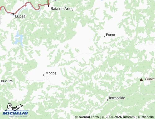 MICHELIN Butești map - ViaMichelin