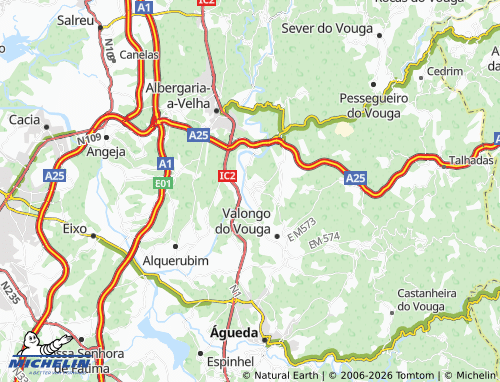 MICHELIN Macinhata do Vouga map - ViaMichelin