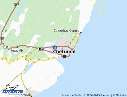 MICHELIN Leona Vicario map - ViaMichelin
