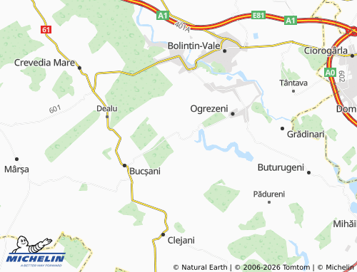 MICHELIN-Landkarte Podișor - ViaMichelin