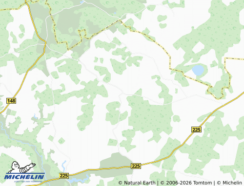 MICHELIN Žaiginys map - ViaMichelin