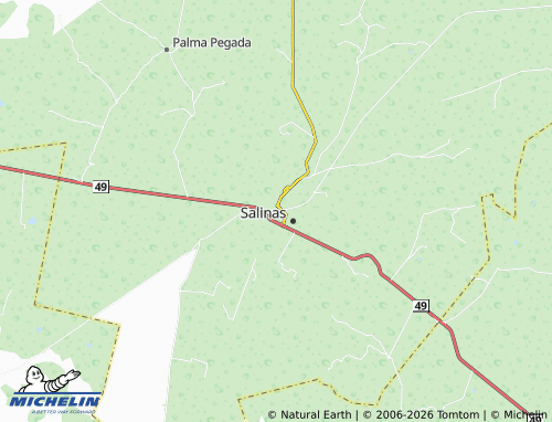 Mappa MICHELIN La Estación - ViaMichelin