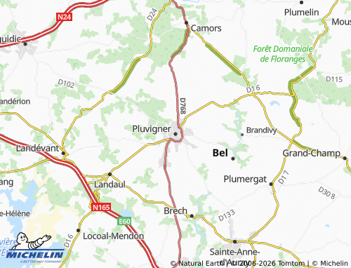 Mappa MICHELIN Pluvigner - ViaMichelin