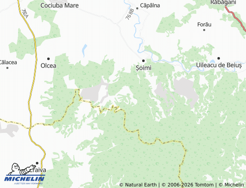 MICHELIN Poclușa De Beiuș map - ViaMichelin