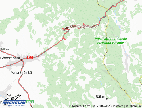 MICHELIN Covacipeter map - ViaMichelin