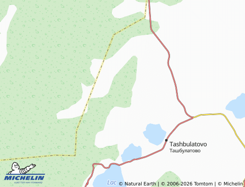 MICHELIN-Landkarte Telyashevo - ViaMichelin