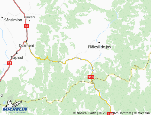 MICHELIN Casinu Nou map - ViaMichelin