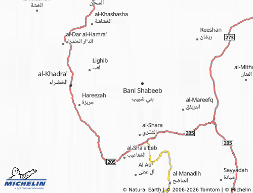 Carte MICHELIN al-Mushriq - ViaMichelin