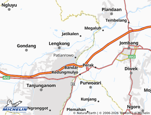 MICHELIN Patianrowo map - ViaMichelin