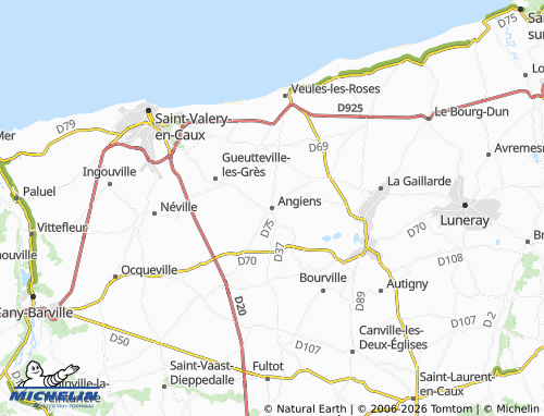 Mapa MICHELIN Angiens - ViaMichelin