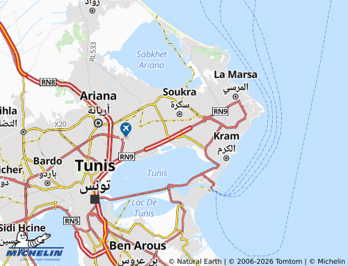 Carte MICHELIN Taieb Mhiri - ViaMichelin