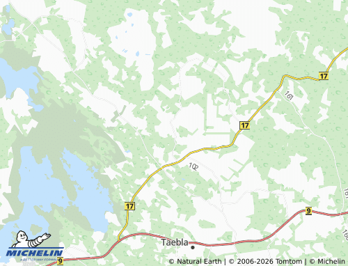 Mapa MICHELIN Mõisaküla - ViaMichelin
