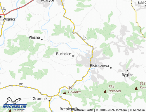 Carte MICHELIN Buchcice - ViaMichelin