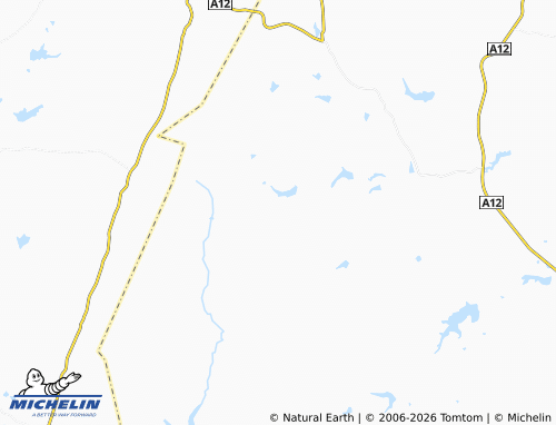 MICHELIN Ballycarney map - ViaMichelin