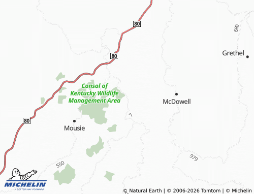 Carte MICHELIN Wayland - ViaMichelin