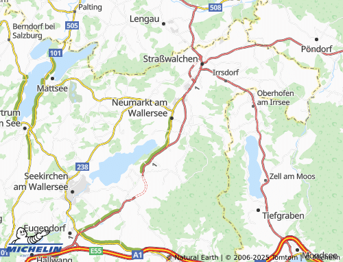 MICHELIN-Landkarte Schalkham - ViaMichelin