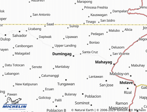 MICHELIN Dumingag map - ViaMichelin