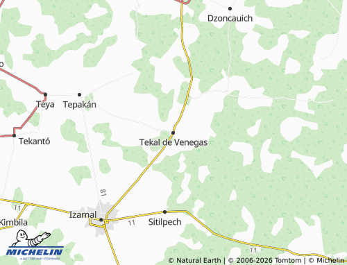 MICHELIN Tekal de Venegas map - ViaMichelin