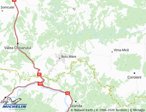 Mappa MICHELIN Frâncenii Boiului - ViaMichelin