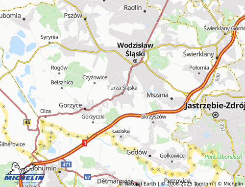 Mapa MICHELIN Turza Śląska - ViaMichelin