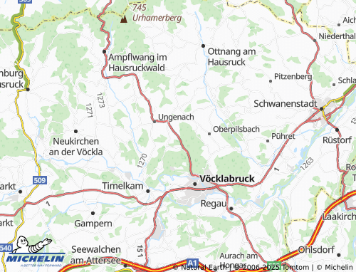 Carte MICHELIN Obereinwald - ViaMichelin