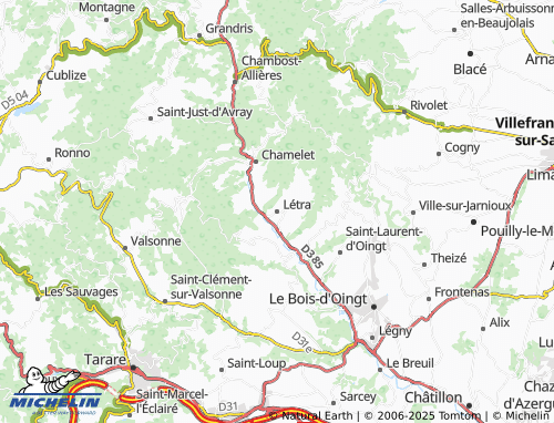 MICHELIN Létra map - ViaMichelin