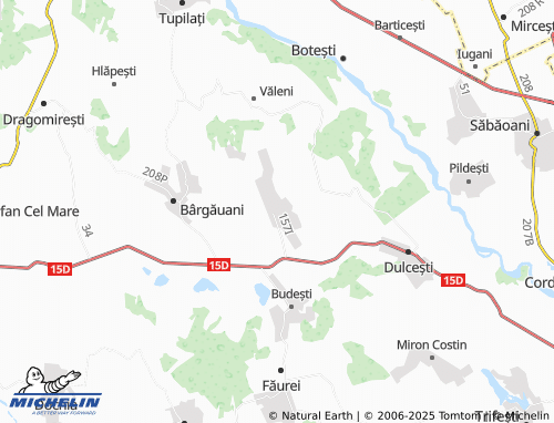 MICHELIN Ruginoasa map - ViaMichelin
