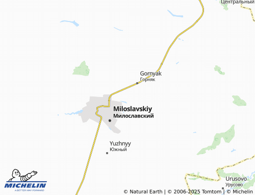 MICHELIN-Landkarte Shishkino - ViaMichelin